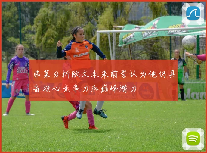 弗莱分析欧文未来前景认为他仍具备核心竞争力和巅峰潜力