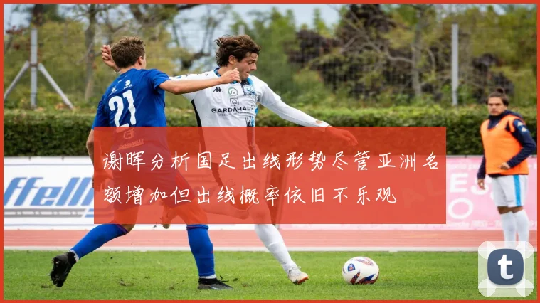 谢晖分析国足出线形势尽管亚洲名额增加但出线概率依旧不乐观