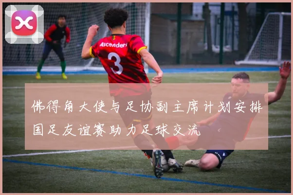 佛得角大使与足协副主席计划安排国足友谊赛助力足球交流
